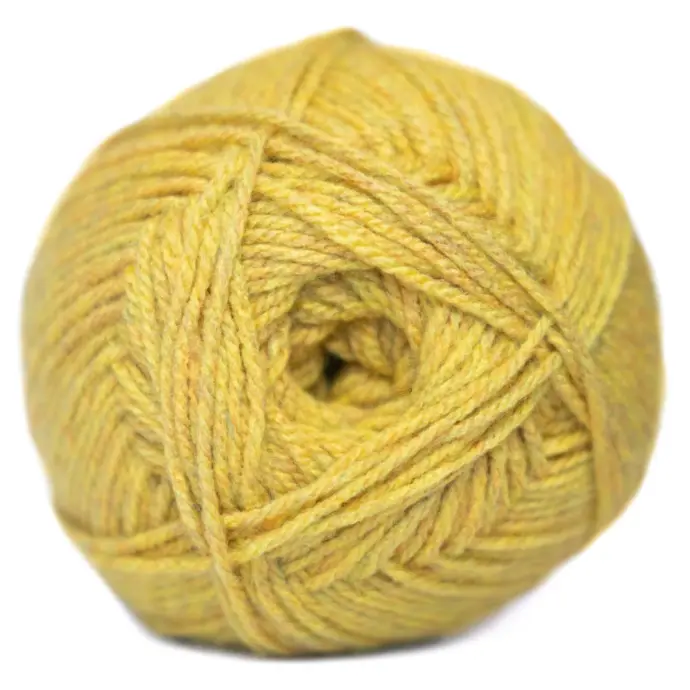 MUSTARD DK CHARITY 100g