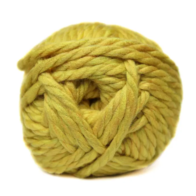 MUSTARD MEGA CHUNKY SOLID CHARITY 300g