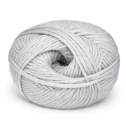 [CHARLOTTE  -  BRT SILVER]  BRT SILVER - CHARLOTTE  