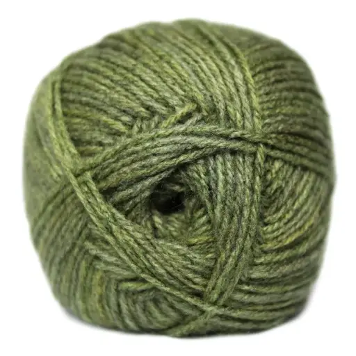 CLASSIC WOOL DK PRINT 100g BLS PICKLE