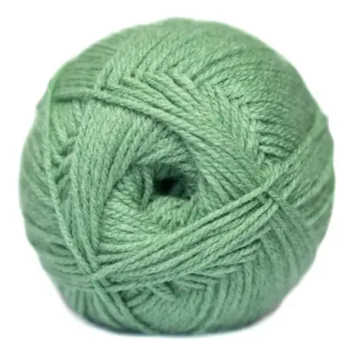 FERN PULLSKEIN DK CLASSIC ELLE 100g 
