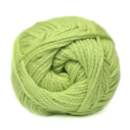 [9000061] SOFT LIME CHARITY DK 100g 