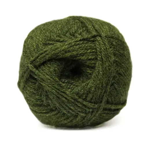 [9000750] SEAWEED CHARITY DK 100g
