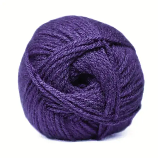 [9000755] EGGPLANT CHARITY DK 100g 