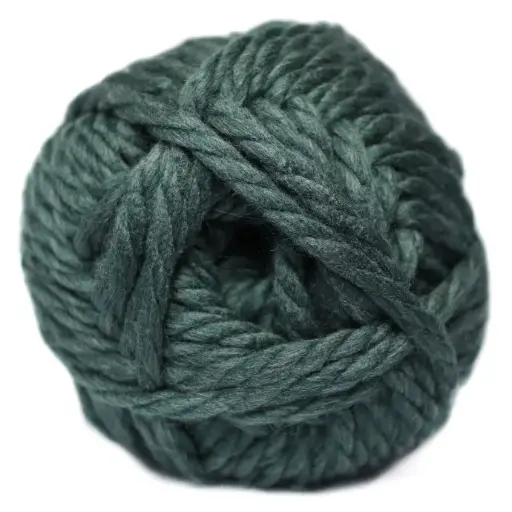 [9001737] CHARITY CHUNKY 100g BLS CILANTRO