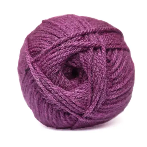 [9001739] CHARITY CHUNKY 100g BLS PLUM